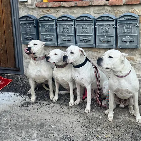 דירה La Corte Dei Celti La Fonte San Benedetto Del Querceto
